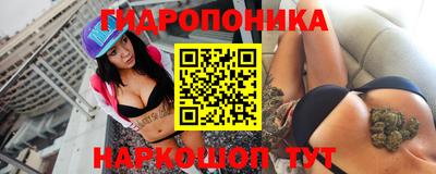индика Будённовск