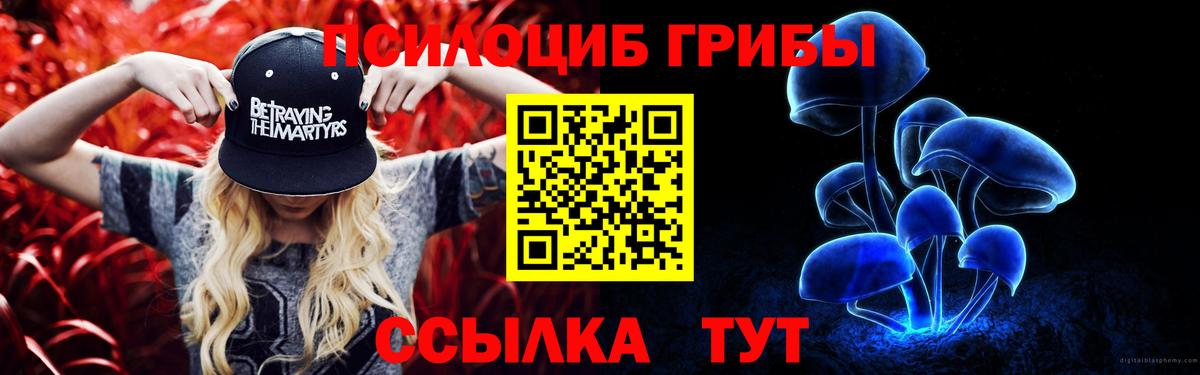 Псилоцибиновые грибы GOLDEN TEACHER  Вход с VPN  купить  цена  Саратов 